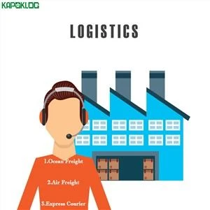 Thâm Quyến Quảng Châu Đến Pháp Ddp DDU Băn khoăn Hàng hải
